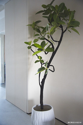 经典茂名装修图大全