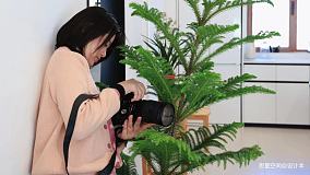 80平小三居去掉一间房变身大两居装修图大全