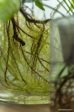 XZID设计丨时间的剧影装修图大全